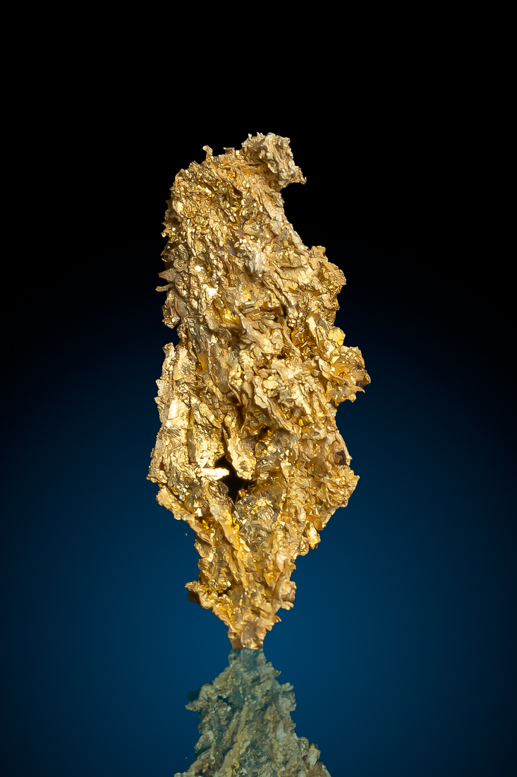 (image for) Beautiful Natural Crystallized Gold Nugget - Round Mountain, NV